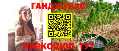 шишки Кулебаки