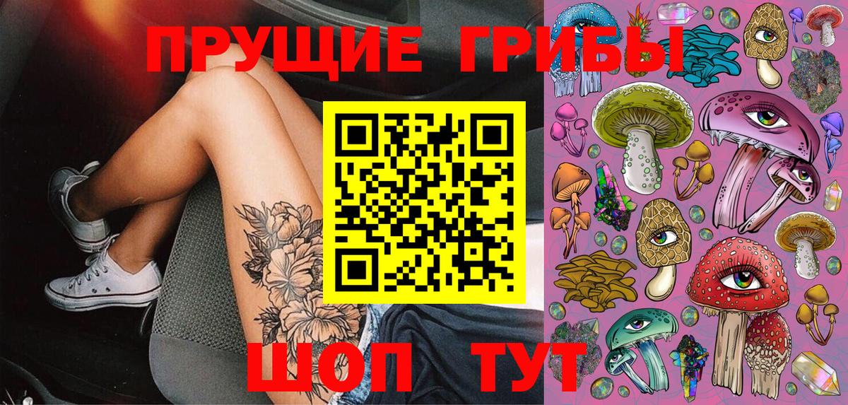 Галлюциногенные грибы Magic Shrooms  Галлюциногенные грибы Psilocybine cubensis  Вязьма  купить наркотики сайты  Вход с VPN 